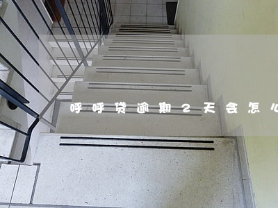 呼呼贷逾期2天会怎么样 呼呼贷逾期2天会怎么样