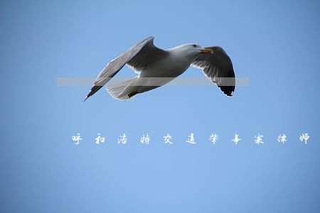 呼和浩特交通肇事案律师咨询专线