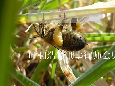 呼和浩特刑事律师会见咨询热线 呼和浩特刑事律师会见咨询热线