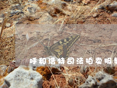 呼和浩特司法拍卖服务 呼和浩特司法拍卖服务