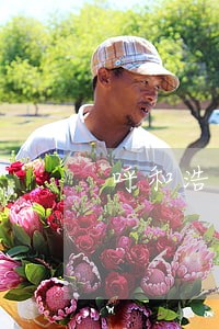 呼和浩特市法院犯罪干警