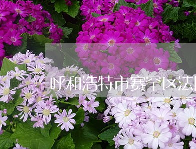 呼和浩特市赛罕区法院在哪
