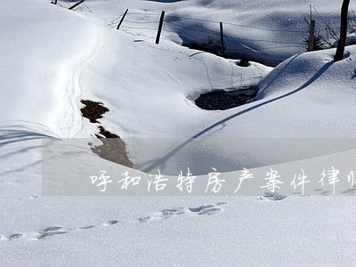 呼和浩特房产案件律师排行榜