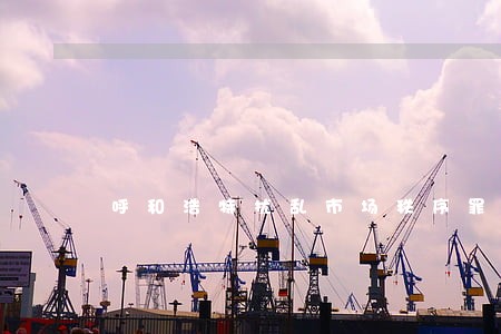 呼和浩特扰乱市场秩序罪律师咨询 呼和浩特扰乱市场秩序罪律师咨询