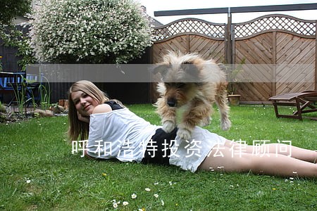 呼和浩特投资法律顾问 呼和浩特投资法律顾问