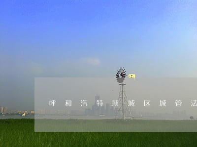 呼和浩特新城区城管法规 呼和浩特新城区城管法规