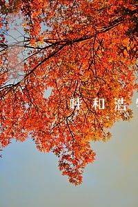 呼和浩特法院机构