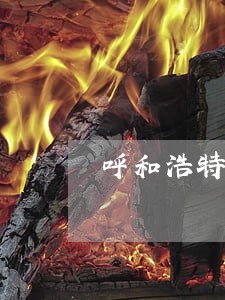 呼和浩特电话查询交通违法信息