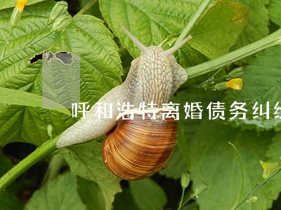 呼和浩特离婚债务纠纷律师 呼和浩特离婚债务纠纷律师