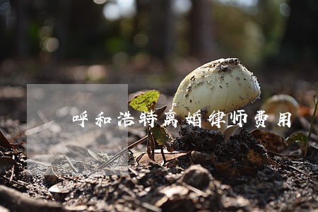 呼和浩特离婚律师费用
