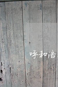 呼和浩特诉讼资产网 呼和浩特诉讼资产网