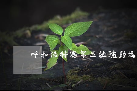 呼和浩特赛罕区法院彭远超