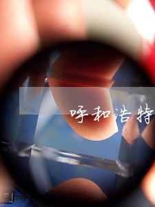 呼和浩特赛罕区法院监察 呼和浩特赛罕区法院监察