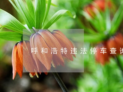 呼和浩特违法停车查询 呼和浩特违法停车查询