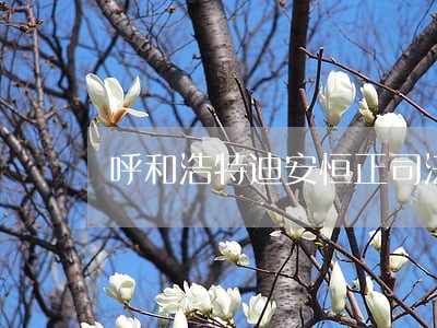 呼和浩特迪安恒正司法鉴定中心 呼和浩特迪安恒正司法鉴定中心