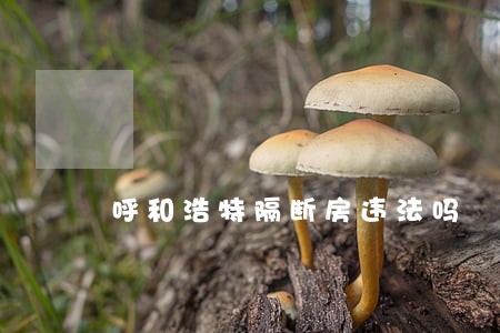 呼和浩特隔断房违法吗 呼和浩特隔断房违法吗