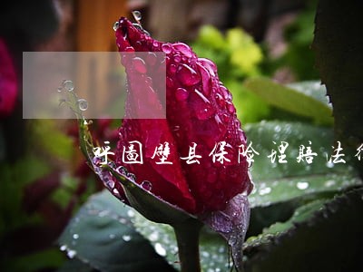 呼图壁县保险理赔法律咨询热线 呼图壁县保险理赔法律咨询热线