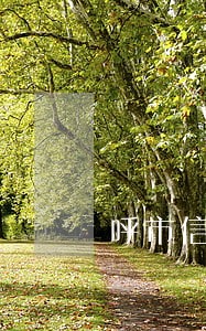 呼市信用卡逾期 呼市信用卡逾期