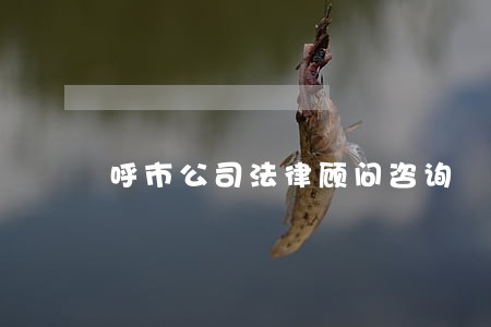 呼市公司法律顾问咨询 呼市公司法律顾问咨询