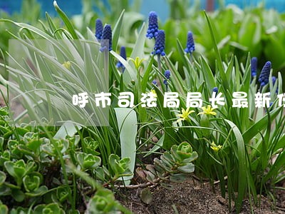 呼市司法局局长最新任命 呼市司法局局长最新任命