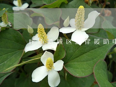 呼市新城区法律援助中心