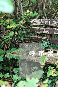 呼市离婚律师事务所 呼市离婚律师事务所