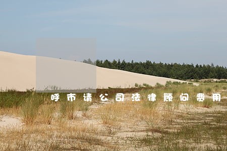 呼市请公司法律顾问费用 呼市请公司法律顾问费用