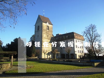 呼铁充分发挥审判优势