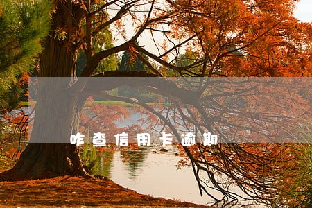 咋查信用卡逾期