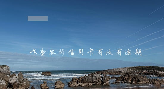 咋查农行信用卡有没有逾期 咋查农行信用卡有没有逾期