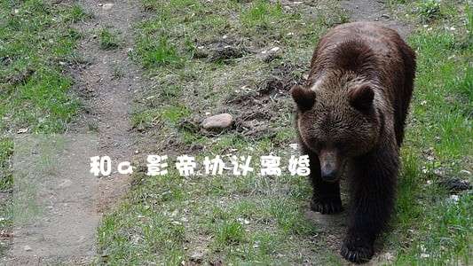 和a影帝协议离婚 和a影帝协议离婚