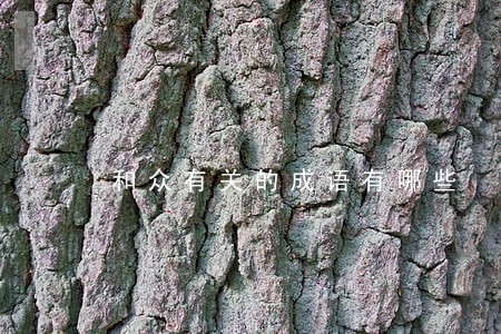 和众有关的成语有哪些