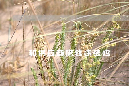 和供应商借钱违法吗 和供应商借钱违法吗