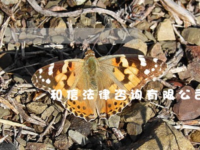 和信法律咨询有限公司 和信法律咨询有限公司