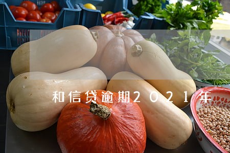 和信贷逾期2021年