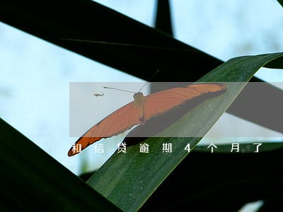 和信贷逾期4个月了 和信贷逾期4个月了