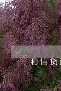 和信贷逾期只还本金可以吗 和信贷逾期只还本金可以吗