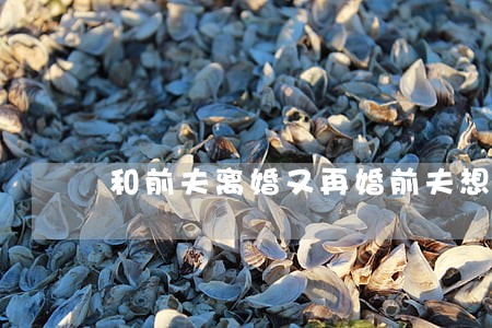 和前夫离婚又再婚前夫想和好 和前夫离婚又再婚前夫想和好