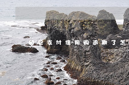 和包支付信用购逾期了怎么补 和包支付信用购逾期了怎么补