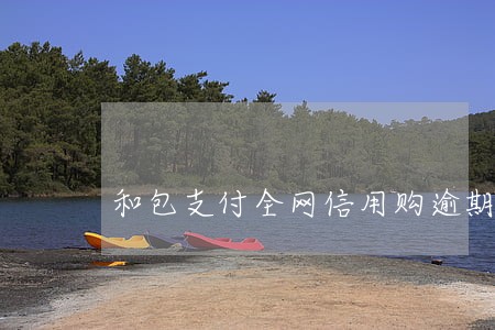 和包支付全网信用购逾期 和包支付全网信用购逾期