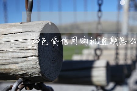 和包贷信用购机逾期怎么自行缴费 和包贷信用购机逾期怎么自行缴费