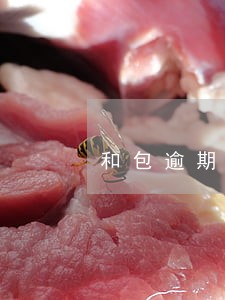 和包逾期扣款3700元 和包逾期扣款3700元