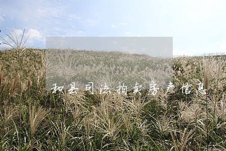 和县司法拍卖房产信息 和县司法拍卖房产信息