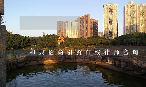 和县招商引资在线律师咨询 和县招商引资在线律师咨询