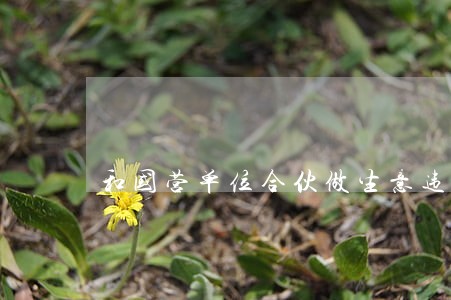 和国营单位合伙做生意违不违法 和国营单位合伙做生意违不违法
