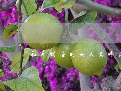 和天蝎座的女人离婚后能挽回 和天蝎座的女人离婚后能挽回