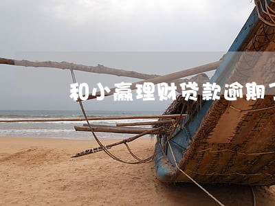 和小赢理财贷款逾期了 和小赢理财贷款逾期了