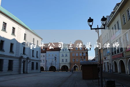 和平公司法律顾问律师 和平公司法律顾问律师