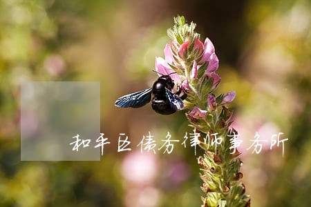 和平区债务律师事务所 和平区债务律师事务所