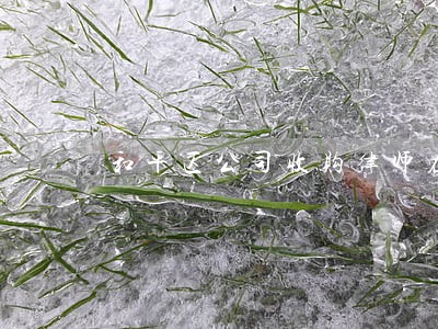 和平区公司收购律师在线咨询
